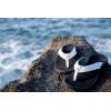OLUKAI Ohana Women’s Beach Sandals, Water Resistant Flip Flops, Arch Support & Comfort Fit, Lightweight & Durable, Enhanced Grip & Traction(White/Black)